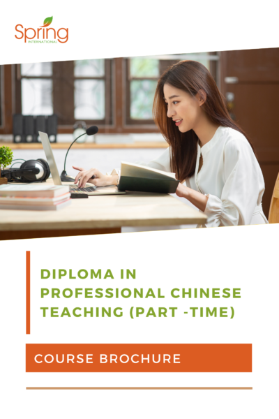 Diploma In Professional Chinese Teaching