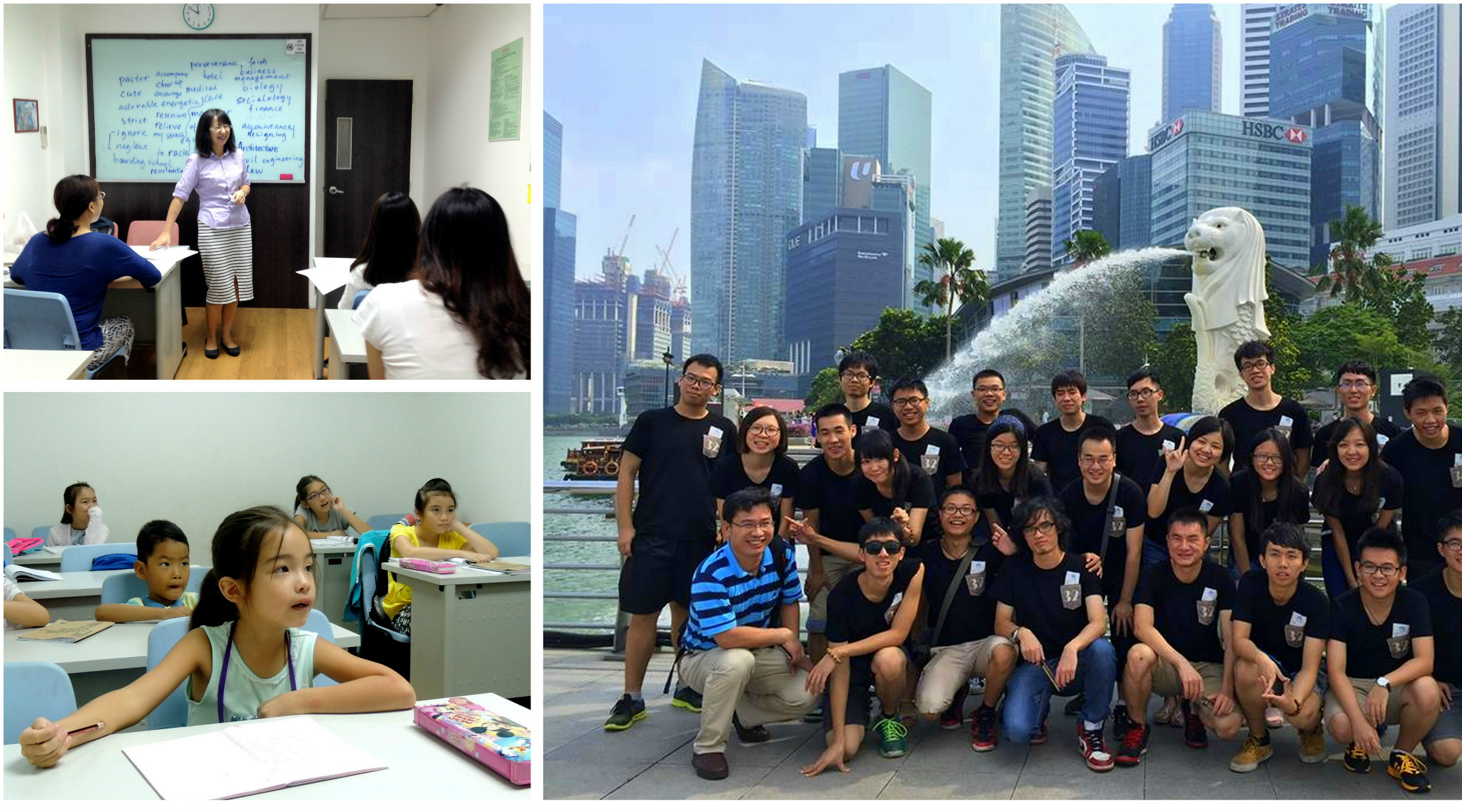 Read more about the article SCI peak season promotion