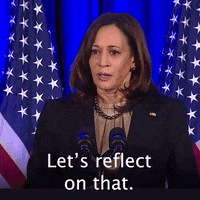 Let’s reflect on that. (z.d.). [Illustration]. Reflectivity. https://media3.giphy.com/media/P1EEaCeYguLaoTuyXh/200.gif